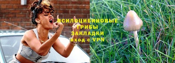 эйфоретик Арсеньев