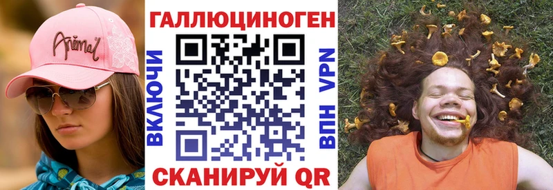 купить наркотики сайты Белово Галлюциногенные грибы мицелий