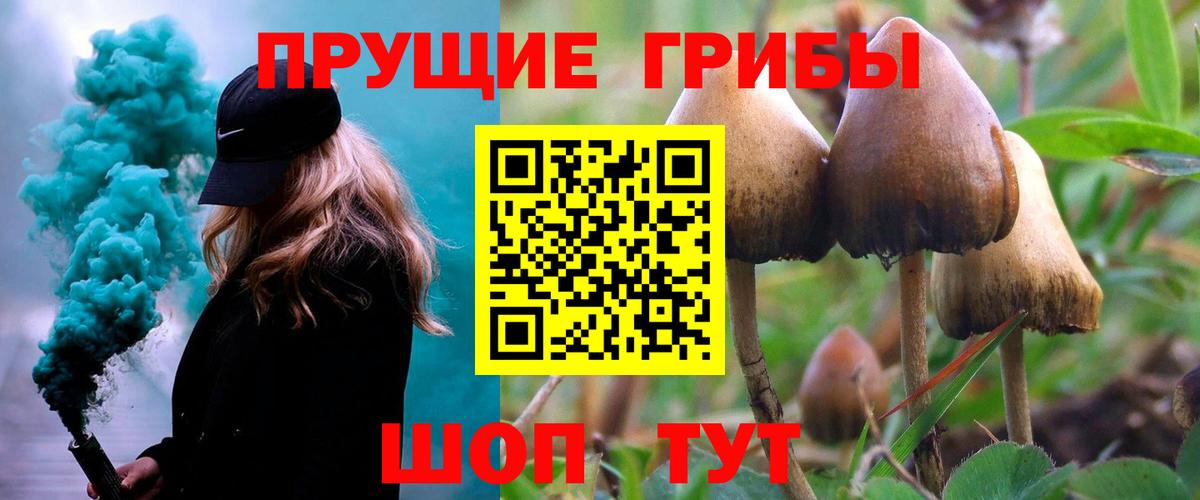 Белово  Галлюциногенные грибы Psilocybe  Вход с VPN 