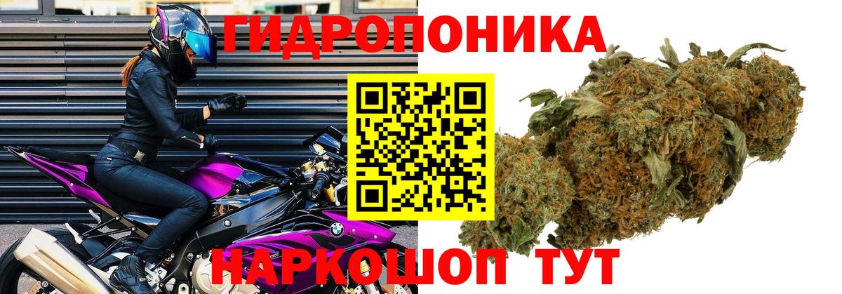 Марихуана индика  Вход с VPN  Марихуана сатива  Бошки Шишки AK-47  Бошки Шишки AK-47  Белово 